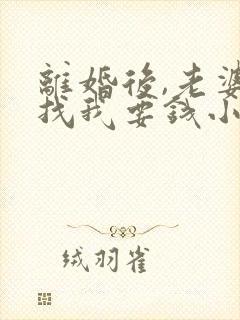 离婚后,老婆还找我要钱小说免费阅读