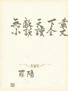 无敌天下黄小龙小说读全文阅读