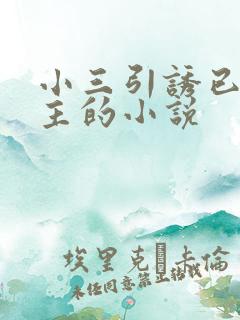 小三引诱已婚男主的小说