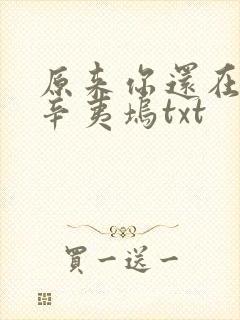 原来你还在这里辛夷坞txt