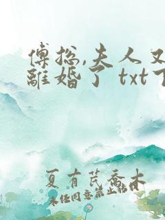 傅总,夫人又闹离婚了 txt下载