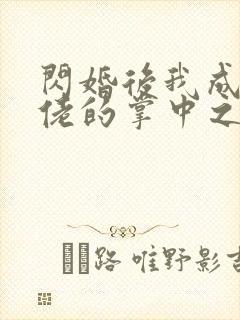 闪婚后我成了大佬的掌中之物全集在线观看