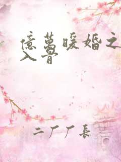 亿万暖婚之宠妻入骨