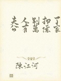 夫人别扣了你老公有万亿家产