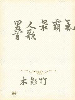 男人最霸气的十首歌