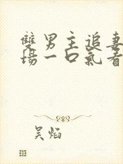 双男主追妻火葬场一口气看完