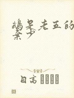 鹅是老五的最强弃少