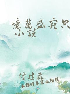 亿万盛宠只为你 小说