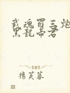武魂罗三炮我乃黑龙帝君