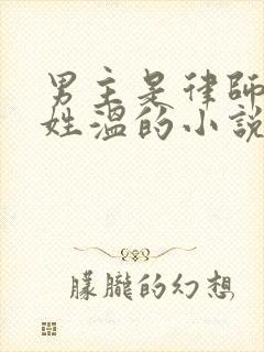 男主是律师女主姓温的小说