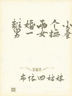 离婚两个小孩一男一女抚养权怎么判定