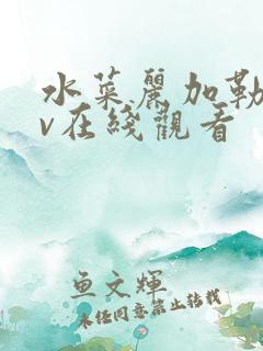 水菜丽加勒比av在线观看