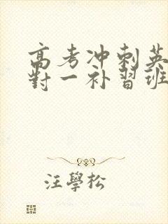 高考冲刺英语一对一补习班