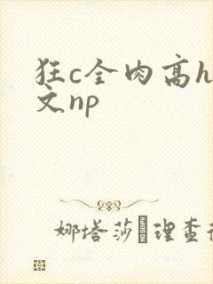 狂c全肉高h辣文np