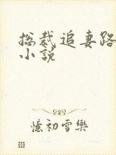 总裁追妻路漫漫小说