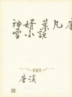 神婿 叶凡唐若雪小说