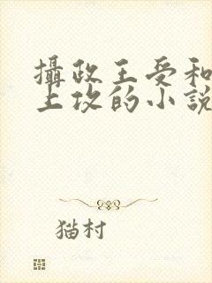 摄政王受和小皇上攻的小说