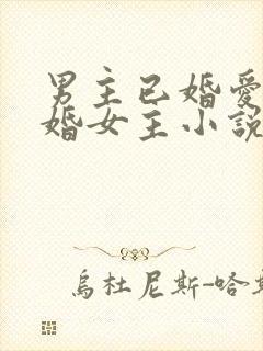 男主已婚爱上未婚女主小说