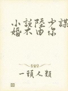 小说陆少谋妻之婚不由你