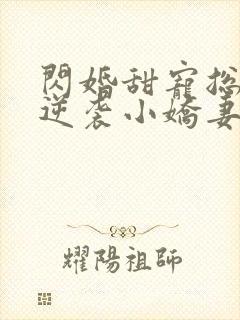 闪婚甜宠总裁的逆袭小娇妻免费阅读