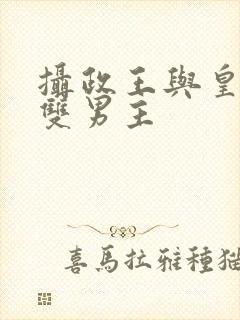 摄政王与皇上的双男主