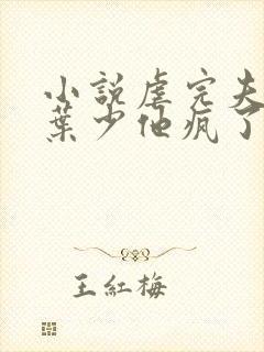 小说虐完夫人后叶少他疯了