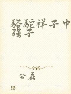 骆驼祥子中的二强子