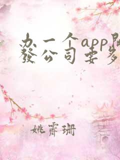 办一个app开发公司要多少钱