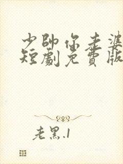 少帅你老婆又跑短剧免费版