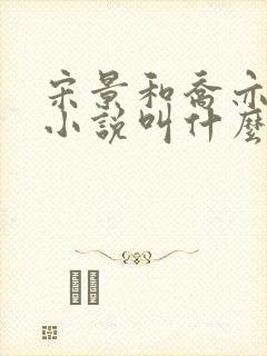 宋景和乔亦暖的小说叫什么名字