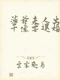 薄爷夫人出价一千亿要退婚叶凝