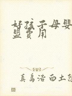 好孩子母婴店加盟费用