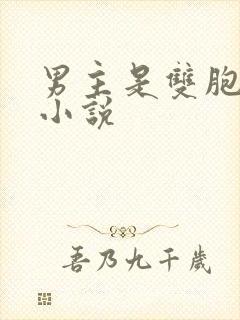 男主是双胞胎的小说