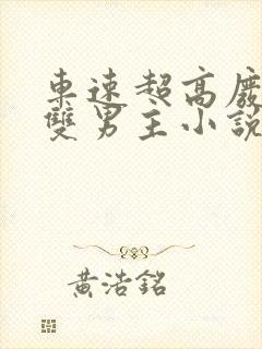 车速超高废文的双男主小说