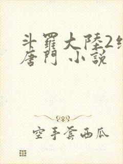 斗罗大陆2绝世唐门 小说