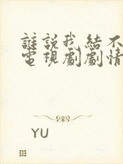 谁说我结不了婚电视剧剧情介绍