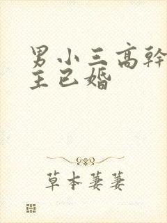 男小三高干文女主已婚