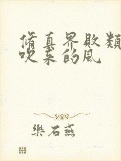 修真界败类大漠吹来的风