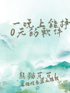 一晚上能挣100元的软件