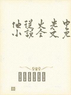 他从火光中走来小说全文免费阅读无弹窗