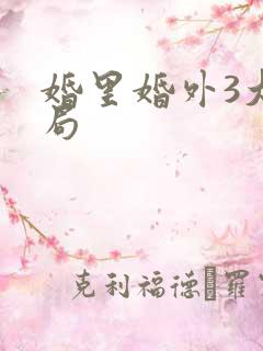 婚里婚外3大结局