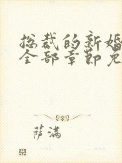 总裁的新婚罪妻全部章节免费