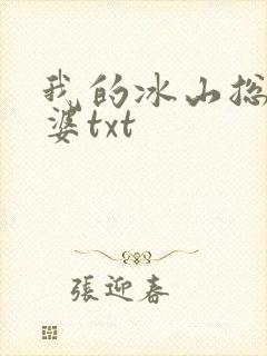 我的冰山总裁老婆txt