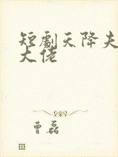 短剧天降夫人是大佬