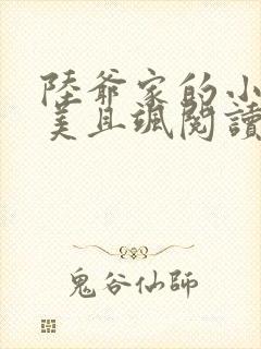 陆爷家的小祖宗美且飒阅读全文全文