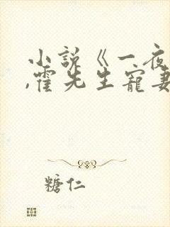 小说《一夜情深,霍先生宠妻无度》