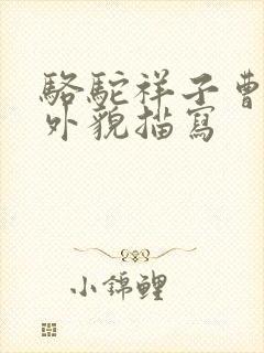 骆驼祥子曹先生外貌描写