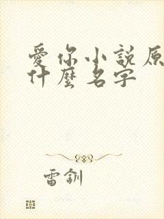爱你小说原著叫什么名字