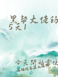 黑帮大佬的365天1