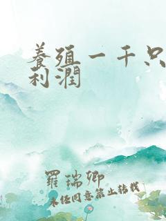 养殖一千只鸡的利润